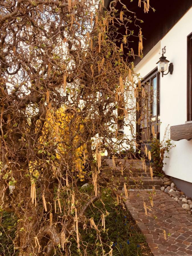 Hegau-Lounge-Bodensee Muhlhausen-Ehingen Exterior photo